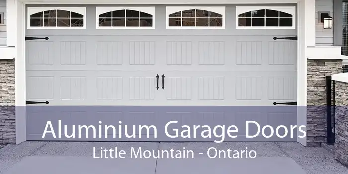 Aluminium Garage Doors Little Mountain - Ontario