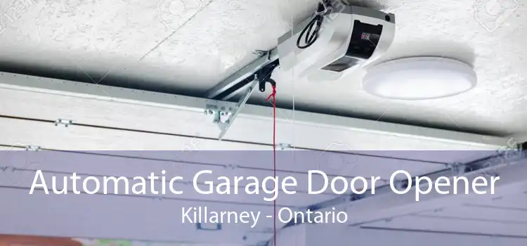 Automatic Garage Door Opener Killarney - Ontario