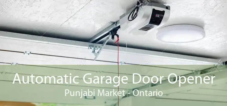 Automatic Garage Door Opener Punjabi Market - Ontario