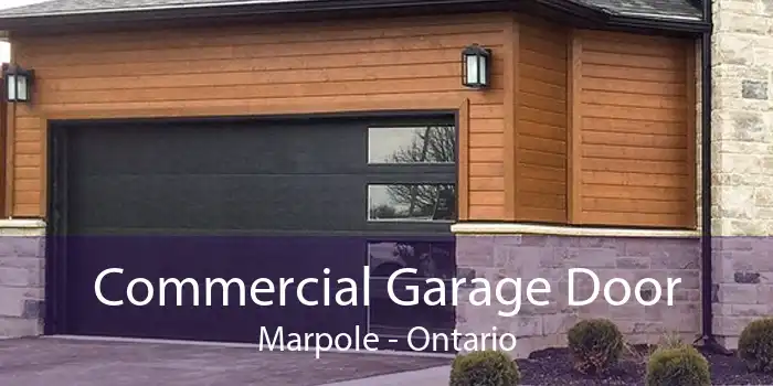 Commercial Garage Door Marpole - Ontario