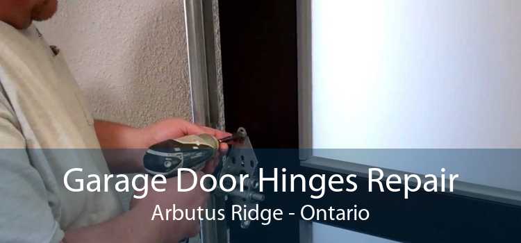 Garage Door Hinges Repair Arbutus Ridge - Ontario