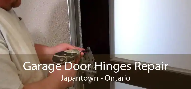 Garage Door Hinges Repair Japantown - Ontario