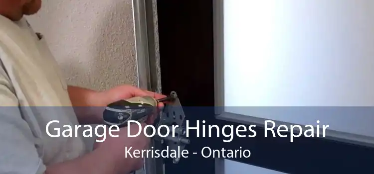 Garage Door Hinges Repair Kerrisdale - Ontario