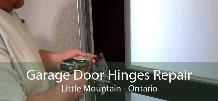 Garage Door Hinges Repair Little Mountain - Ontario