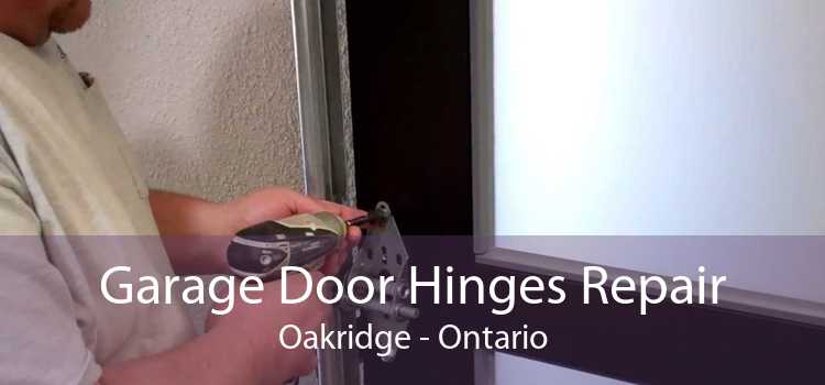 Garage Door Hinges Repair Oakridge - Ontario