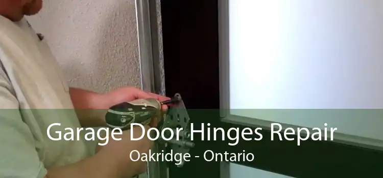 Garage Door Hinges Repair Oakridge - Ontario
