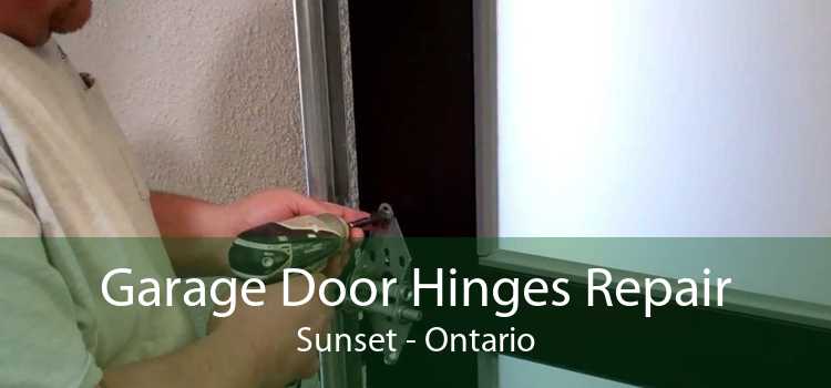 Garage Door Hinges Repair Sunset - Ontario
