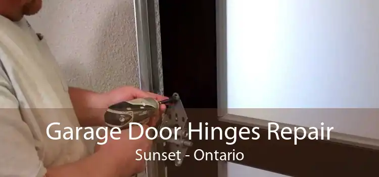 Garage Door Hinges Repair Sunset - Ontario