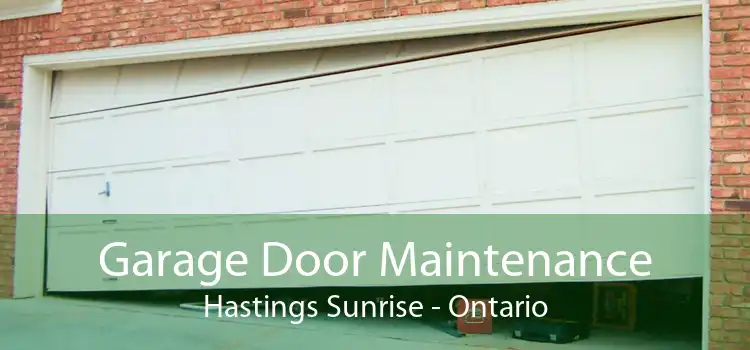 Garage Door Maintenance Hastings Sunrise - Ontario
