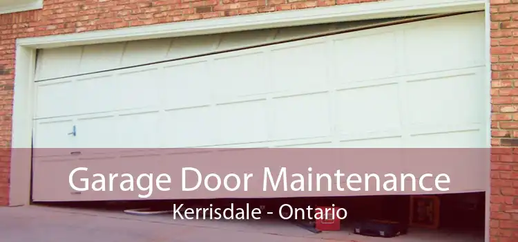 Garage Door Maintenance Kerrisdale - Ontario