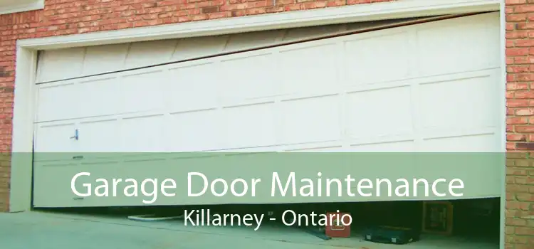 Garage Door Maintenance Killarney - Ontario
