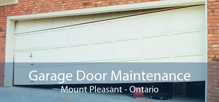Garage Door Maintenance Mount Pleasant - Ontario