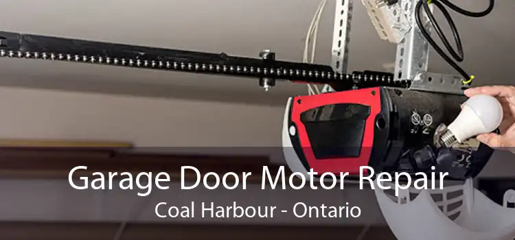 Garage Door Motor Repair Coal Harbour - Ontario