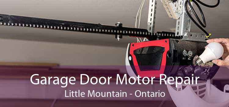 Garage Door Motor Repair Little Mountain - Ontario