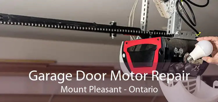 Garage Door Motor Repair Mount Pleasant - Ontario