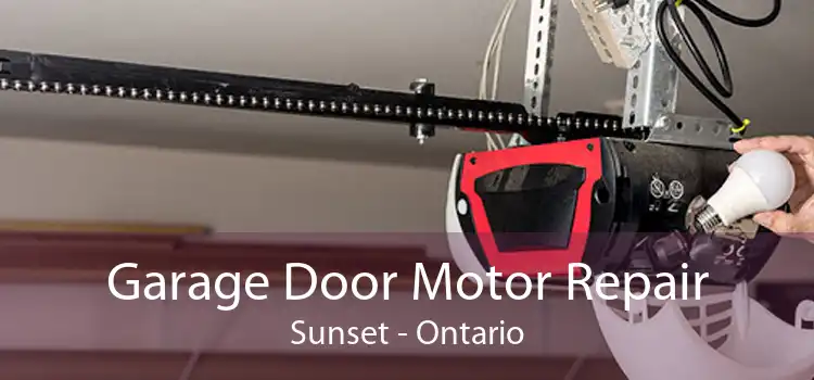 Garage Door Motor Repair Sunset - Ontario