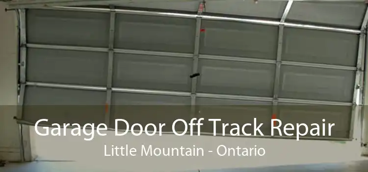 Garage Door Off Track Repair Little Mountain - Ontario