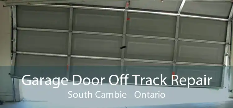 Garage Door Off Track Repair South Cambie - Ontario