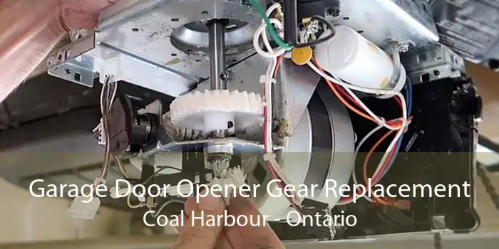 Garage Door Opener Gear Replacement Coal Harbour - Ontario