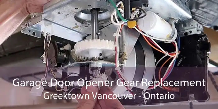 Garage Door Opener Gear Replacement Greektown Vancouver - Ontario