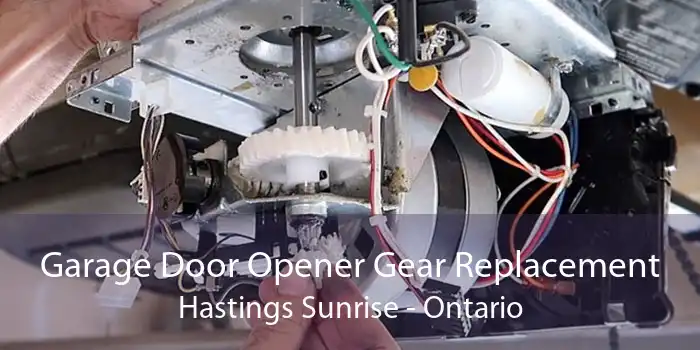 Garage Door Opener Gear Replacement Hastings Sunrise - Ontario