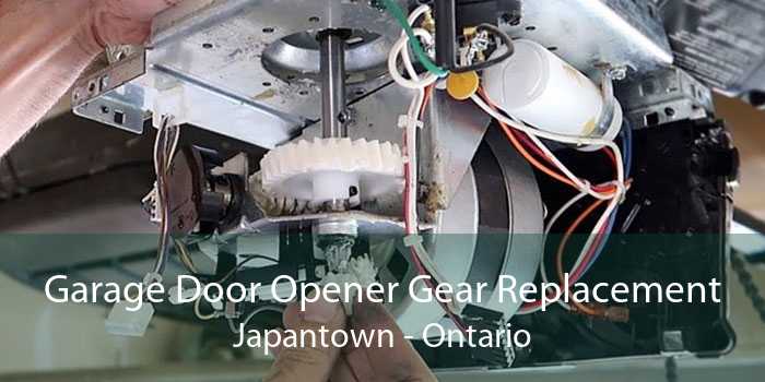 Garage Door Opener Gear Replacement Japantown - Ontario