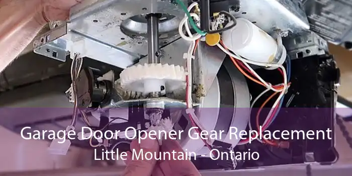Garage Door Opener Gear Replacement Little Mountain - Ontario