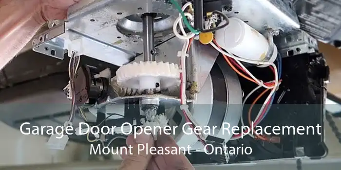 Garage Door Opener Gear Replacement Mount Pleasant - Ontario