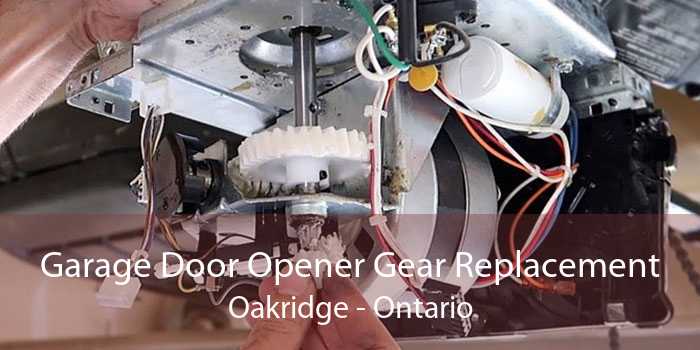 Garage Door Opener Gear Replacement Oakridge - Ontario