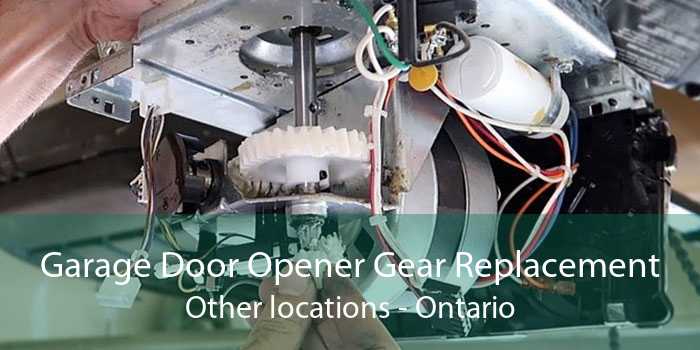 Garage Door Opener Gear Replacement Other locations - Ontario