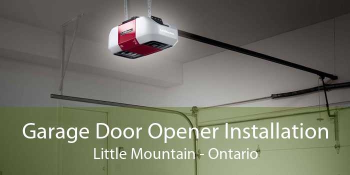 Garage Door Opener Installation Little Mountain - Ontario