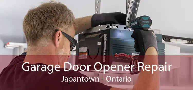 Garage Door Opener Repair Japantown - Ontario