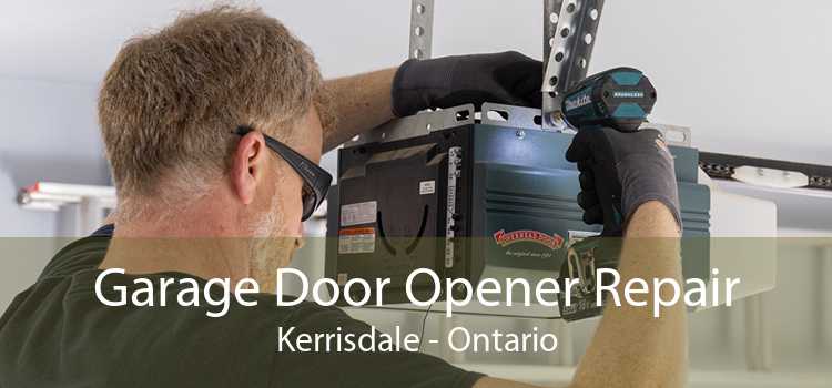 Garage Door Opener Repair Kerrisdale - Ontario