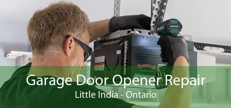 Garage Door Opener Repair Little India - Ontario