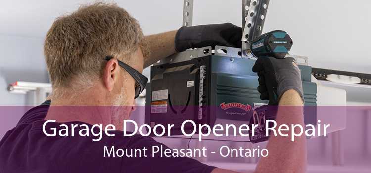 Garage Door Opener Repair Mount Pleasant - Ontario
