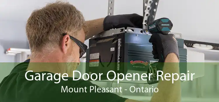 Garage Door Opener Repair Mount Pleasant - Ontario