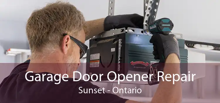 Garage Door Opener Repair Sunset - Ontario