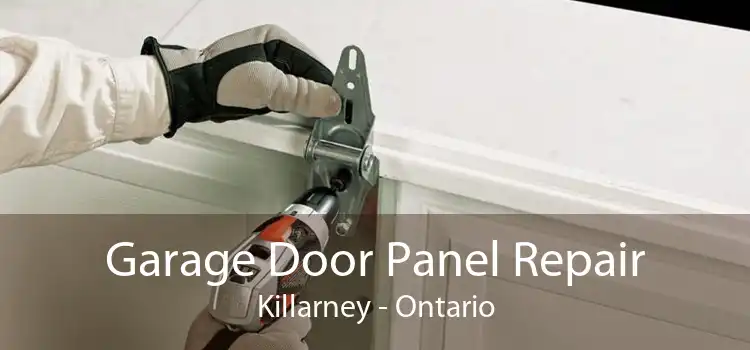 Garage Door Panel Repair Killarney - Ontario