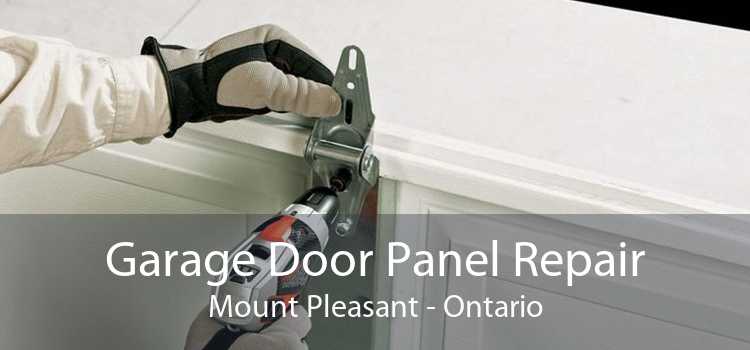 Garage Door Panel Repair Mount Pleasant - Ontario