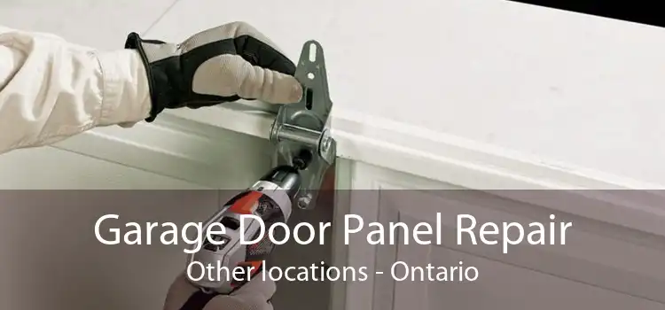 Garage Door Panel Repair Other locations - Ontario
