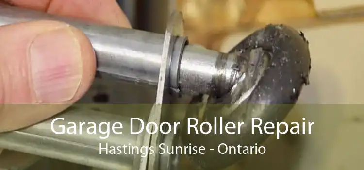 Garage Door Roller Repair Hastings Sunrise - Ontario