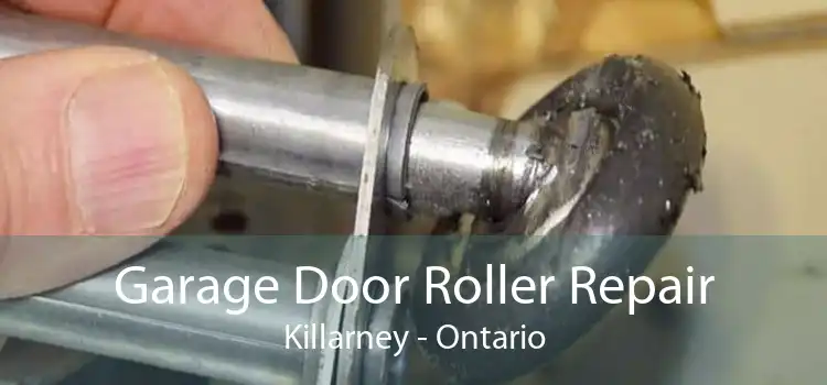 Garage Door Roller Repair Killarney - Ontario