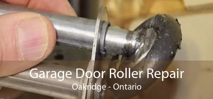 Garage Door Roller Repair Oakridge - Ontario