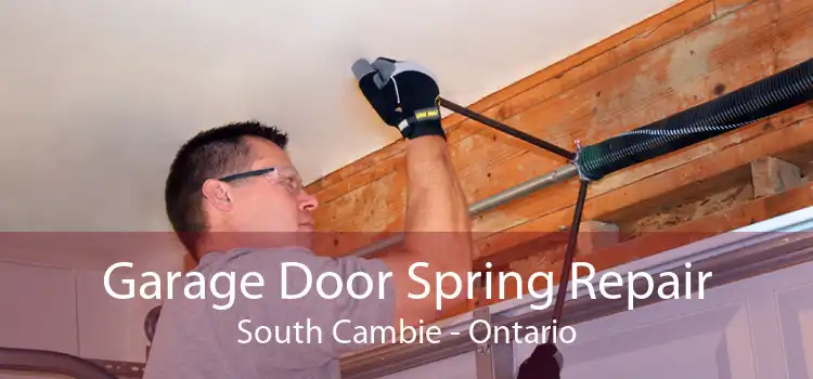 Garage Door Spring Repair South Cambie - Ontario