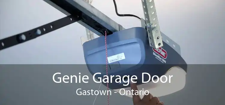 Genie Garage Door Gastown - Ontario