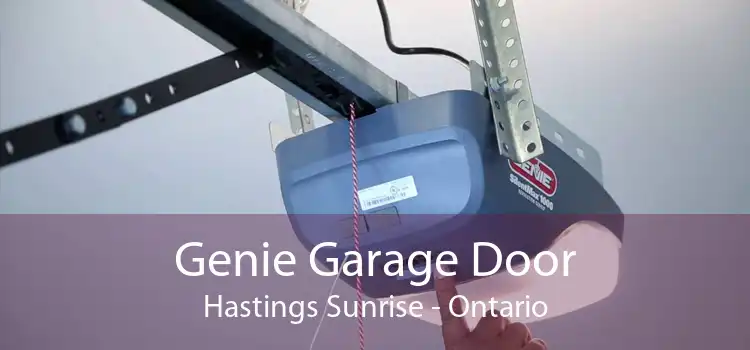 Genie Garage Door Hastings Sunrise - Ontario