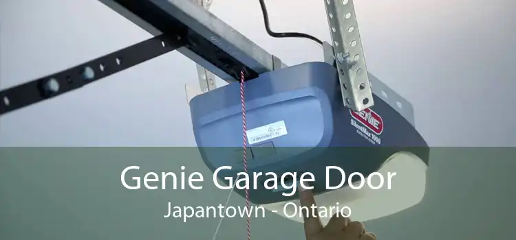 Genie Garage Door Japantown - Ontario