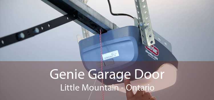 Genie Garage Door Little Mountain - Ontario