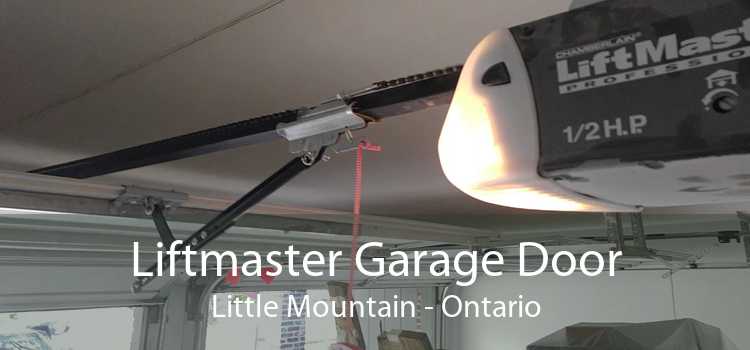 Liftmaster Garage Door Little Mountain - Ontario