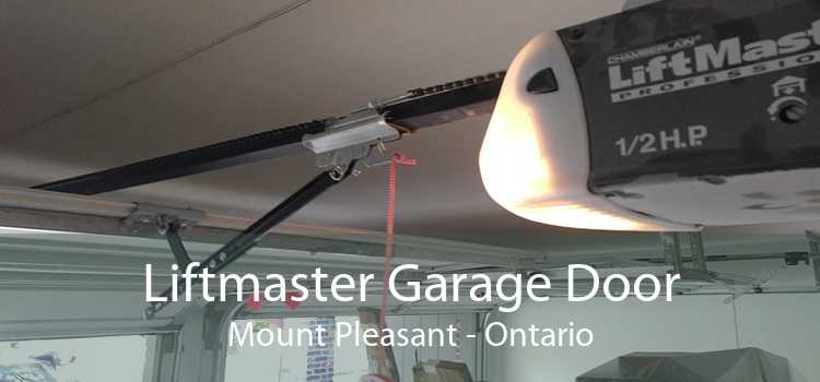 Liftmaster Garage Door Mount Pleasant - Ontario